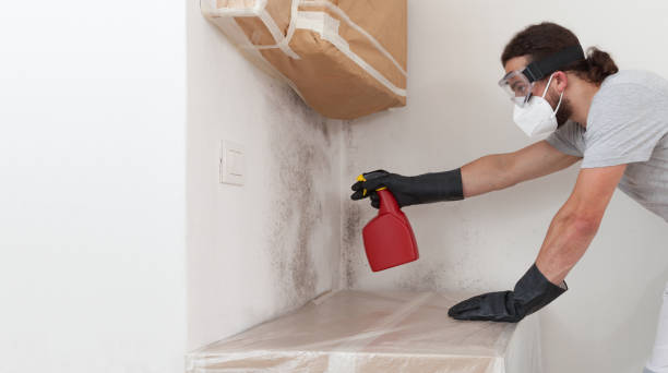 Professional Basement Mold Remediation technician working in Lexington, NC