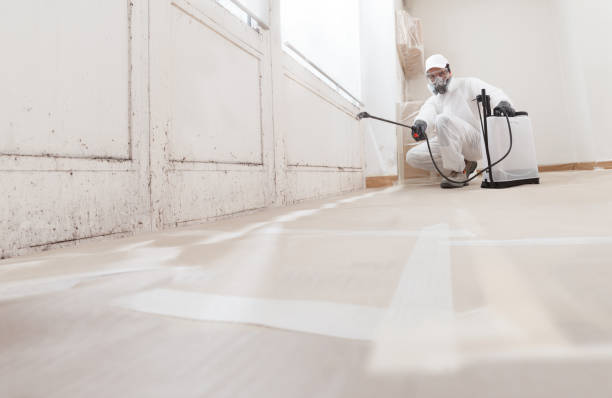 24/7 Emergency Basement Mold Remediation experts in Lexington, NC